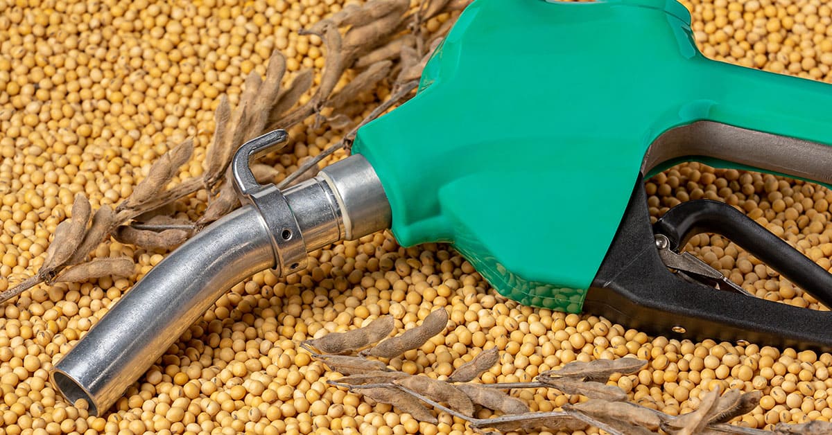 Canola oil prices increase due to concerns over supply shortages affecting the market.