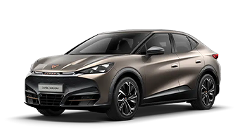 Cupra Tavascan Endurance