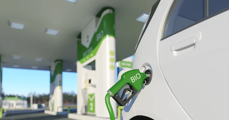 The rise of biofuels