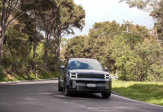 Fleet management - hyundai